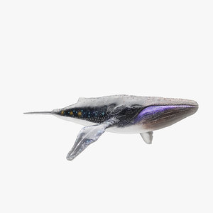 fantasy whale 3d max