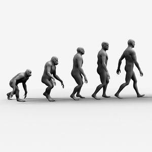evolution ape 3d obj