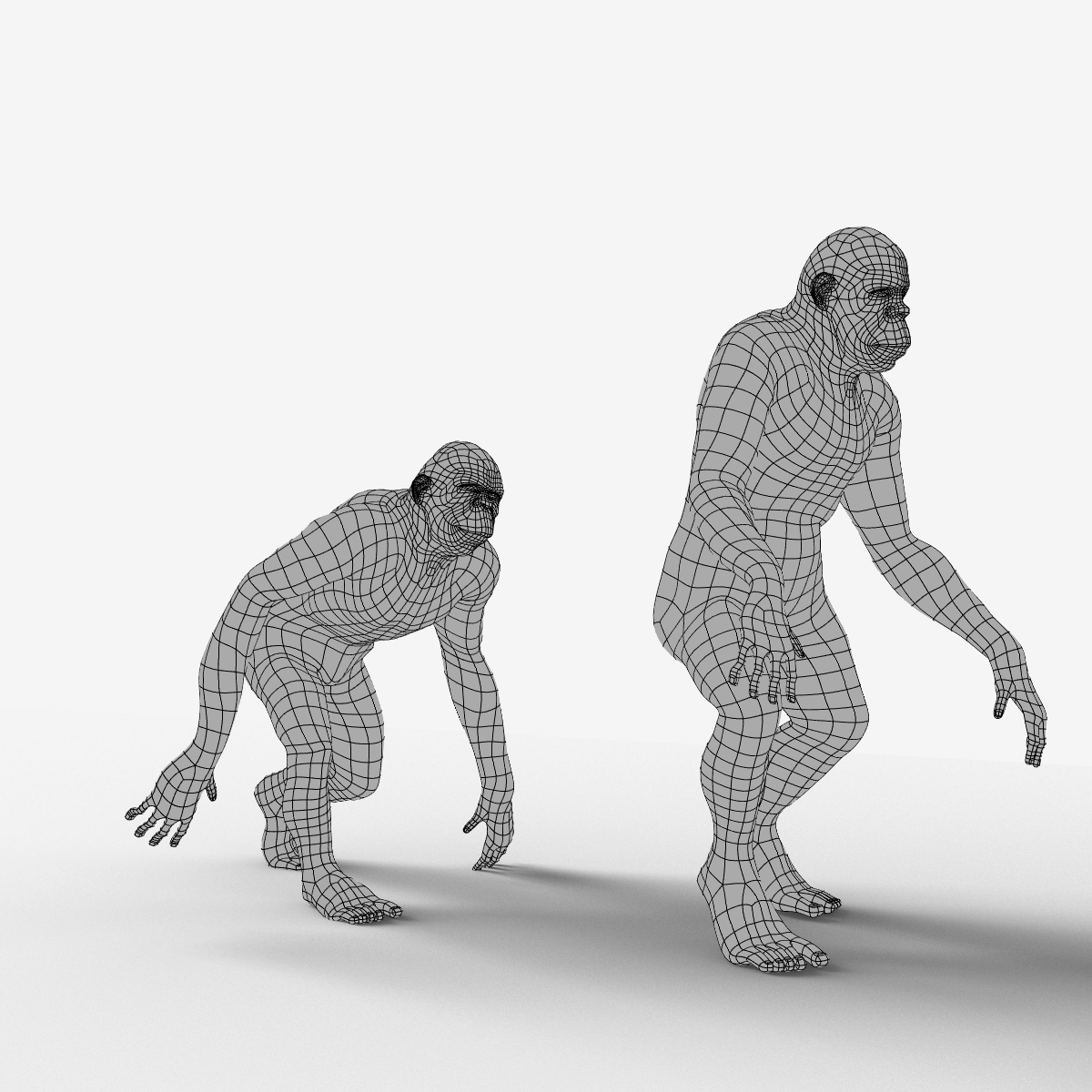 evolution ape 3d obj