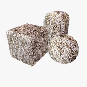 Dry Fern Seamless