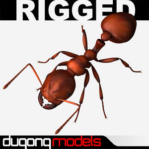 3d model dugm05 ant