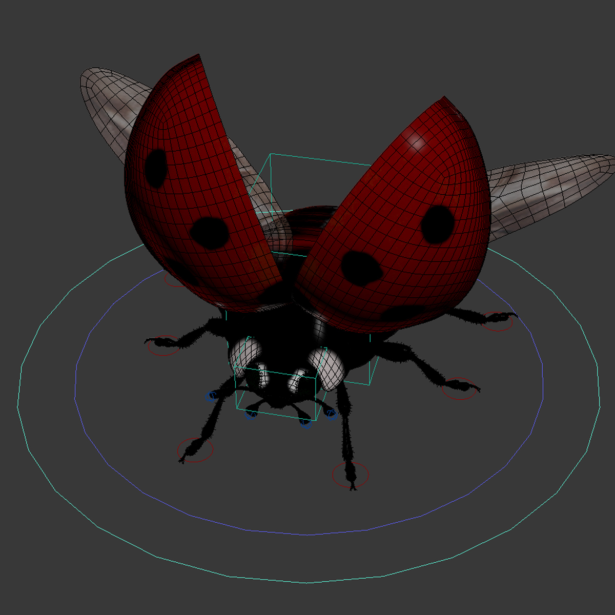 rigged insect collection 013d模型