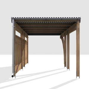 3d carport wood