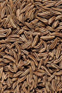 Texture of cumin seeds captured from above