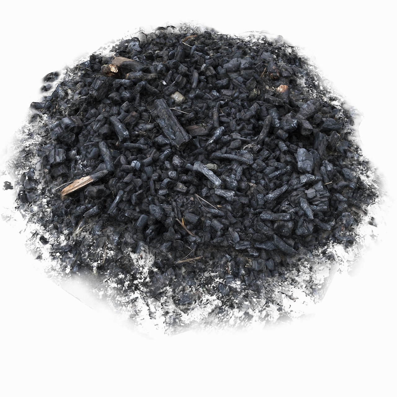 现实木头被烧的灰烬斑点堆土壤3d模型