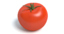 tomato 3d max