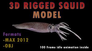 max squid realistic animation