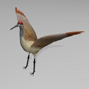3ds max sandhill crane