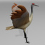 3ds max sandhill crane