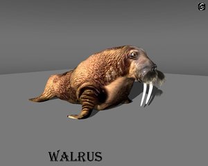 3ds max walrus