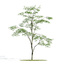 3d model of archmodels vol 154 plants trees