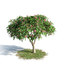 3d model of archmodels vol 154 plants trees
