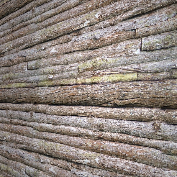 Log Wall Seamless