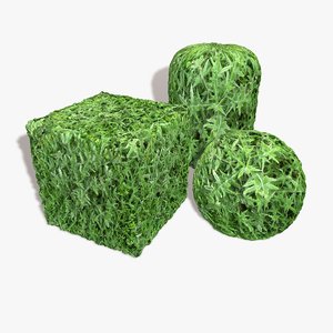 Thistle Weed Seamless