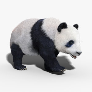 3ds max panda bear fur rigged