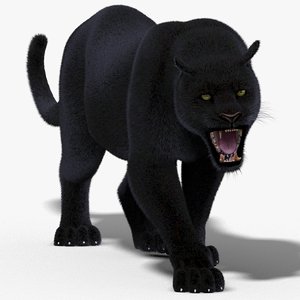 3d model black panther fur cat