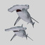3ds max hammerhead shark