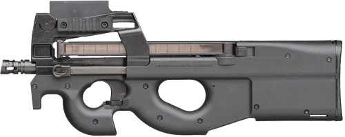 3ds Fn P90