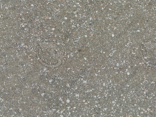 Texture JPEG shells concrete ground