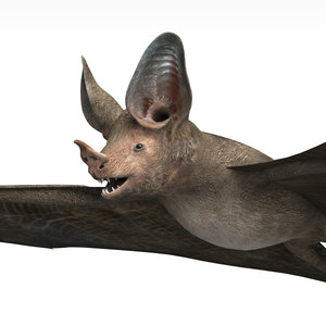 3dsmax bat wings