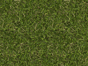Seamless grass texture