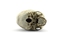human skull 3ds