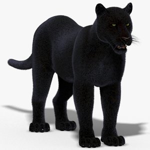 panther fur 3d model