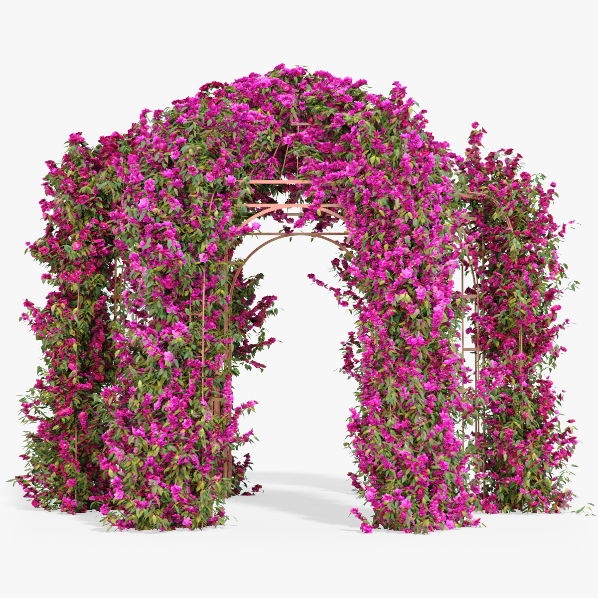 Цветочная арка из бугенвиллии