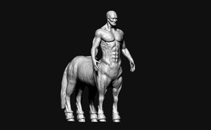 horse human 3d model