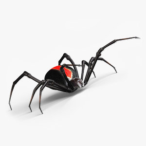 3d red spider model