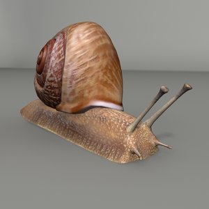 snail 3ds