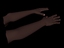 3d model of fully rigged hands
