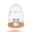 3d birds metal cage model