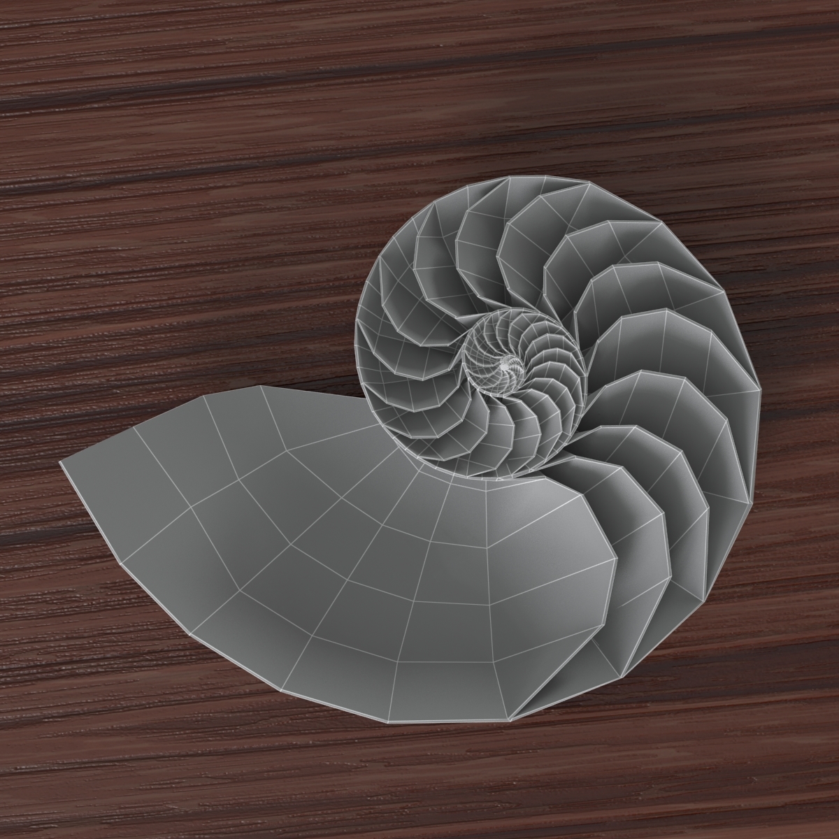 3d model nautilus shell