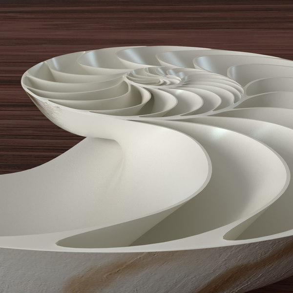 3d model nautilus shell