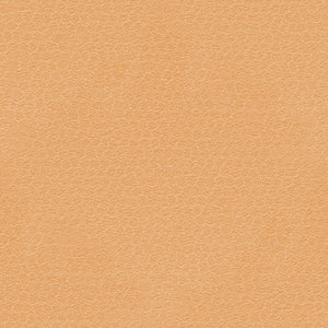 skin texture 4