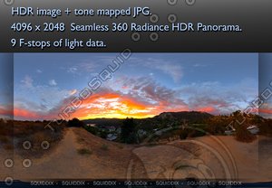 HOLLYWOOD HILLS SUNSET # 484