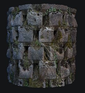 brick moss wall