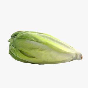 max realistic lettuce