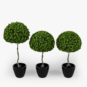 3d model tree plant