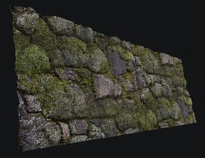 rock moss wall