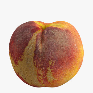 3d realistic peach model