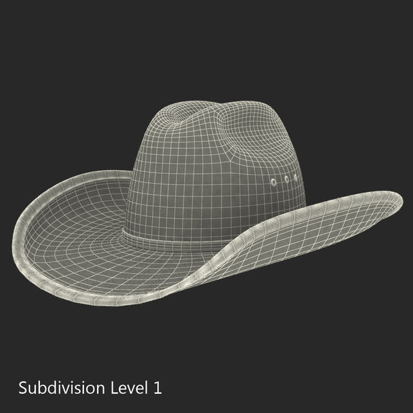 3d cowboy hat