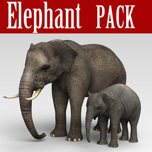 elephant 3d model