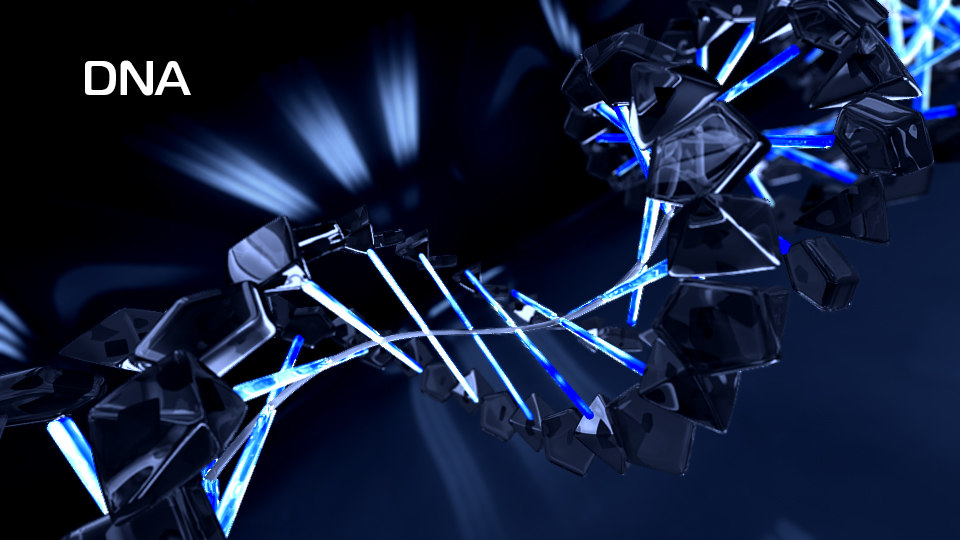 3d max dna animation