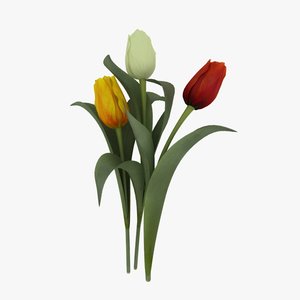 tulips flower 3d model