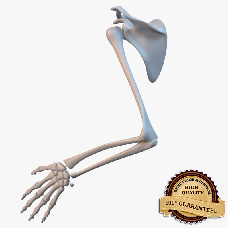 3d hand skeleton