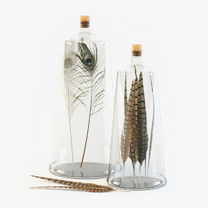 max decorative bottles feathers