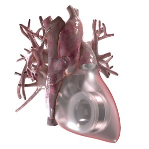 artificial human heart beating obj