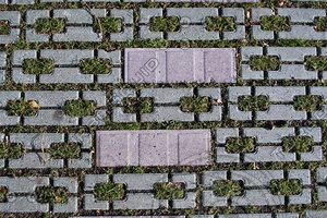 Paving_Texture_0010